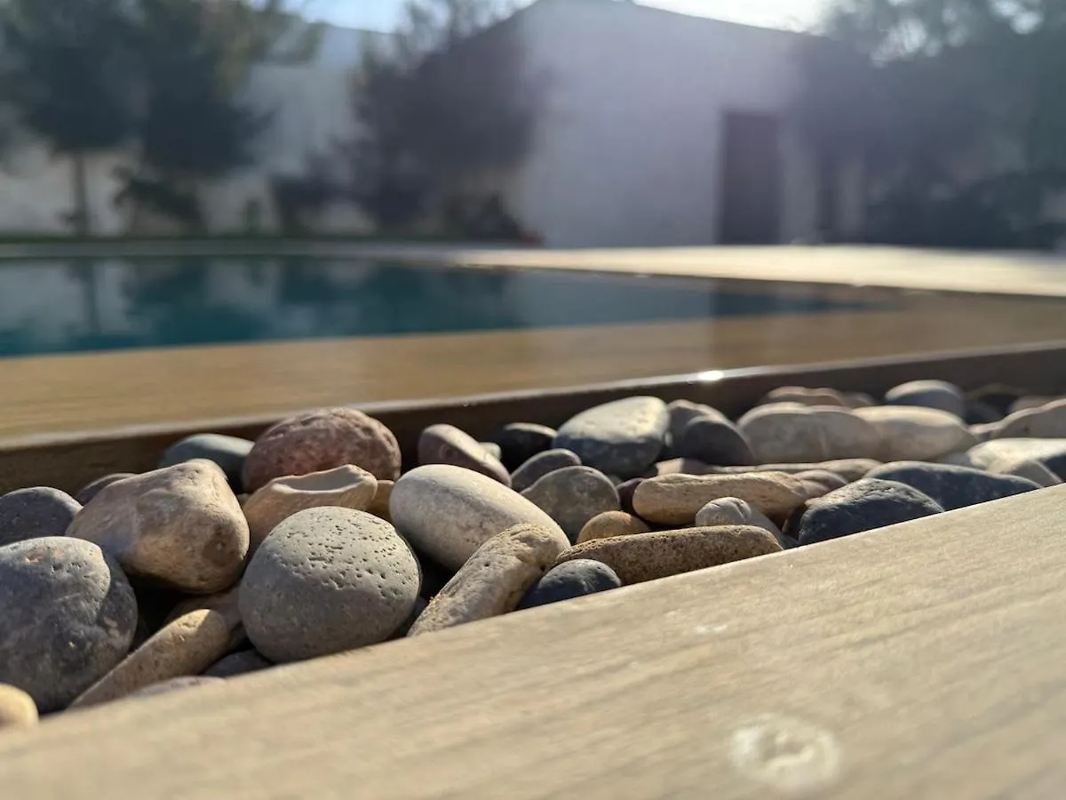 Villa Berbere Essaouira